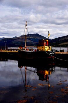 Clyde Puffer Christian Tschierske