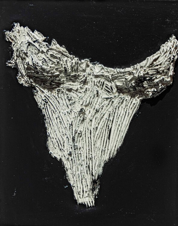 Apodyopsis Ava Blanche