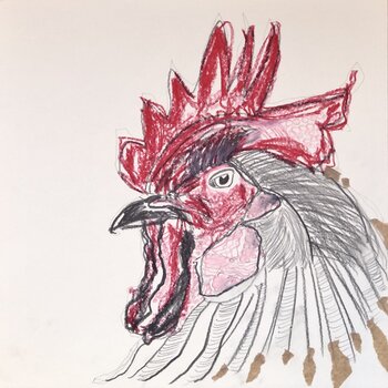 HAHN 4 Brigitte Windt