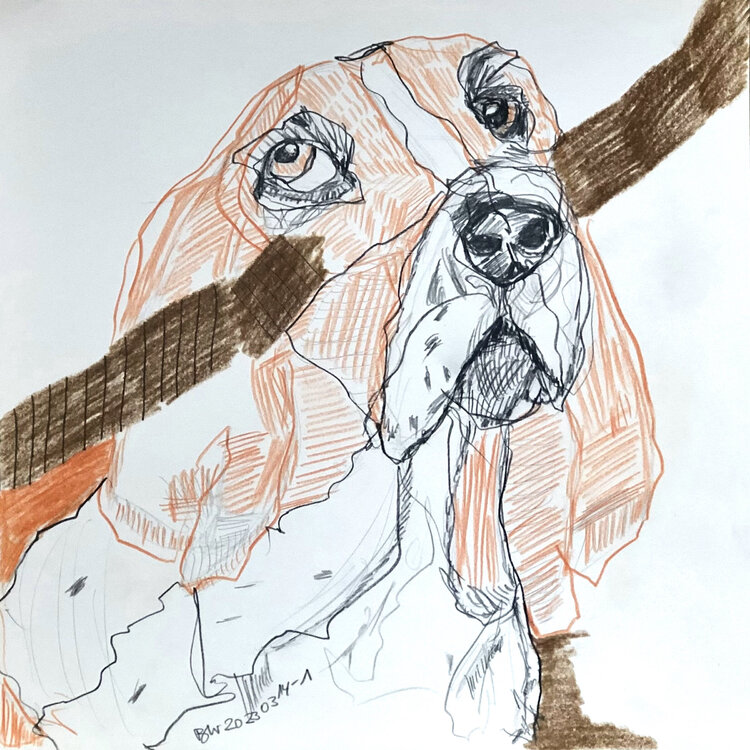 BASSET Brigitte Windt
