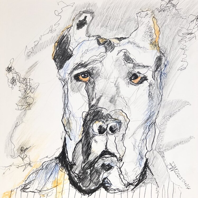 CANE CORSO Brigitte Windt