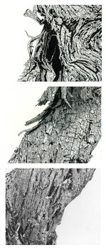 Triptyque Tormentas Sylvain Baudouin