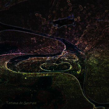 Cœur tatiana de gastyne