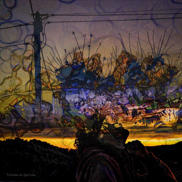 Canalisation tatiana de gastyne