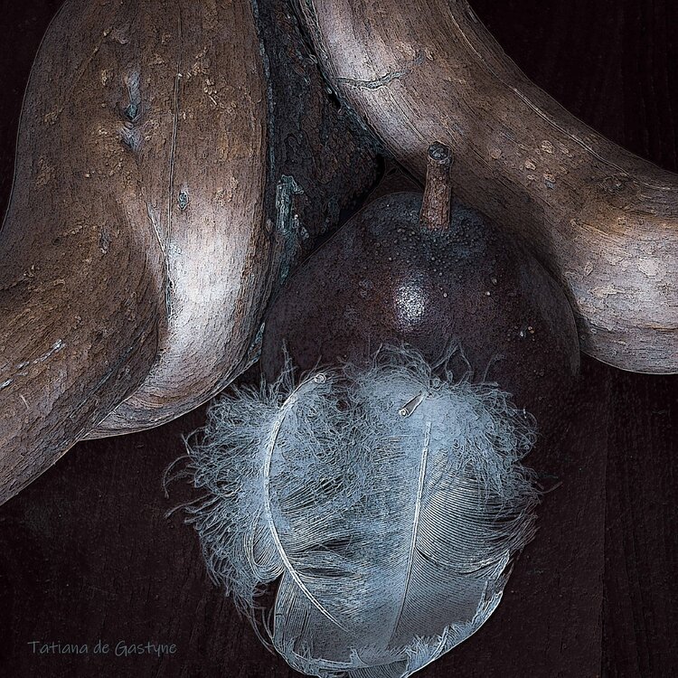Nature morte tatiana de gastyne