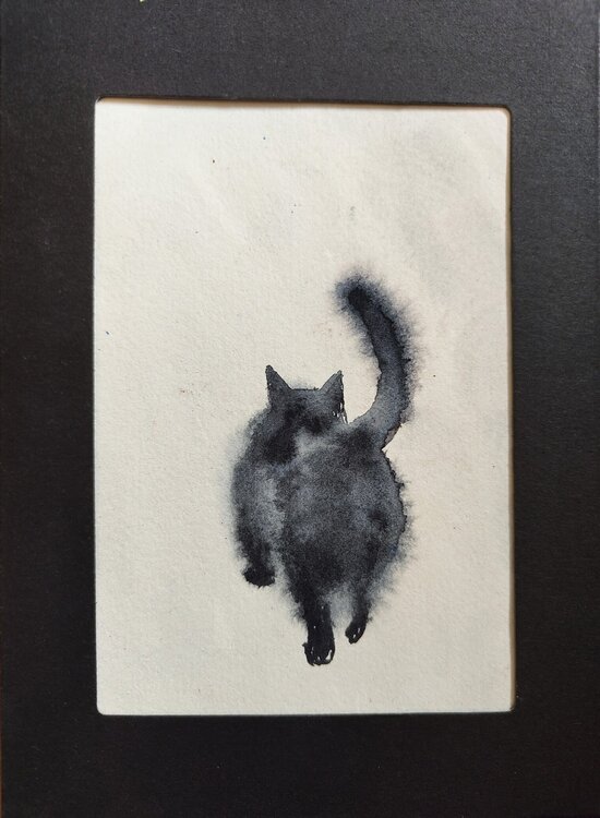 GATTO Nastya Rey