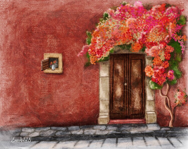 Bougainvillea Sarah Paier