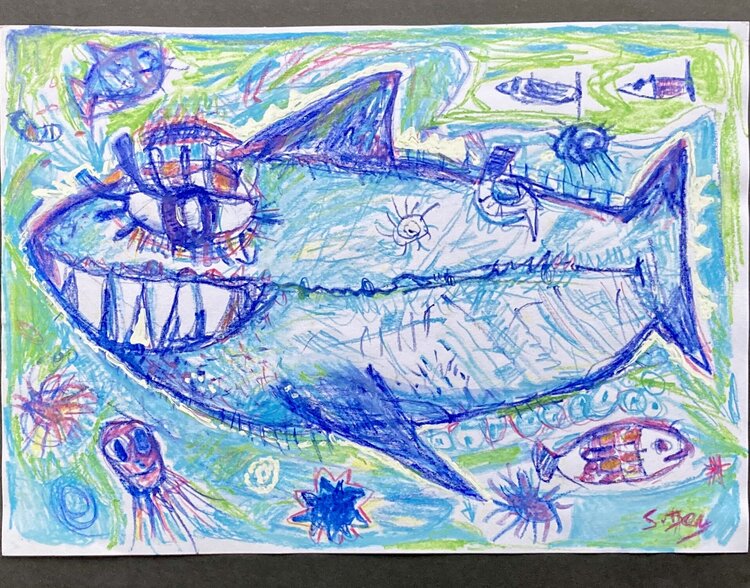 Le requin blanc dans l’océan Sylvain Dez