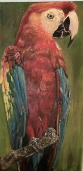 page.alt