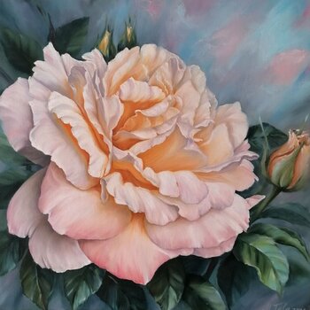 Blusch Rose Maryna Talalaieva