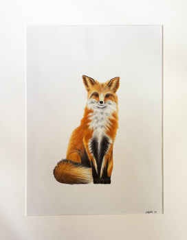 Fuchs Luisa Katharina Marschner