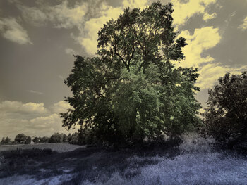 OCCHI_03 Luca Zampini