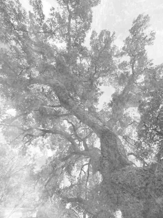 VERSO IL CIELO Luca Zampini