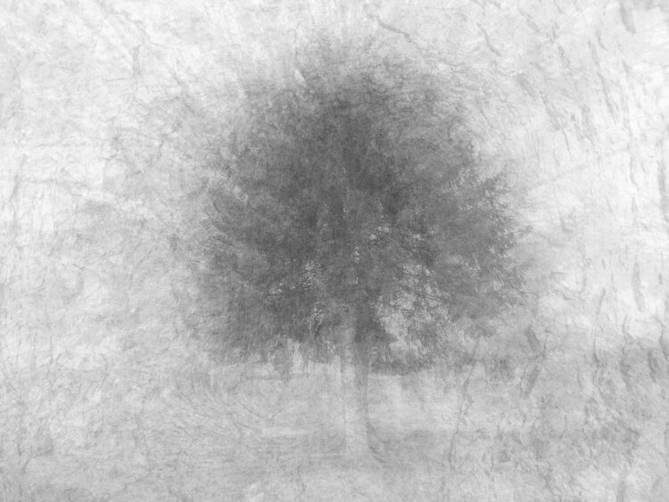RESPIRARE INSIEME Luca Zampini