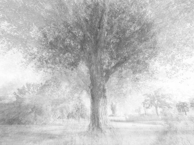 TOWARDS THE LIGHT Luca Zampini