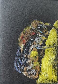 Karla die Biene Yan Jun White