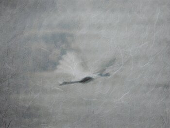 Illumination of buried wishes Svetlana Neskovska