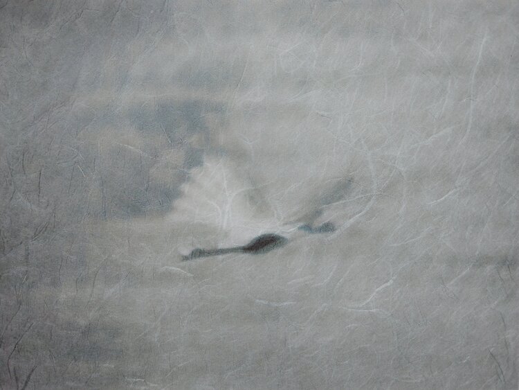 Illumination of buried wishes Svetlana Neskovska