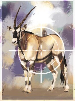 The Arabian oryx Mido Sabil