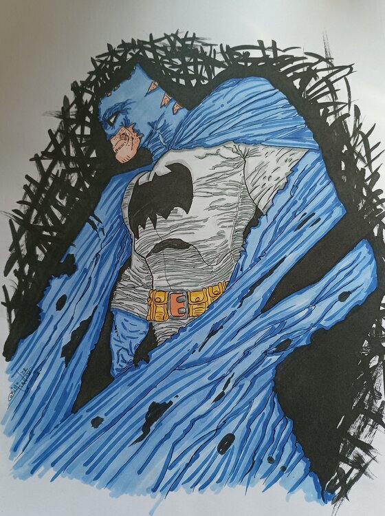 the dark knight colored Christian Seppi