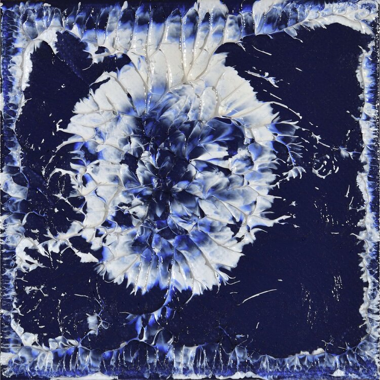 Erstarrt 1 (2016) - 30x30cm - Fotoabzug hinter Acrylglas mit matter Oberfläche auf Alu-Dibond Sabrina Funke