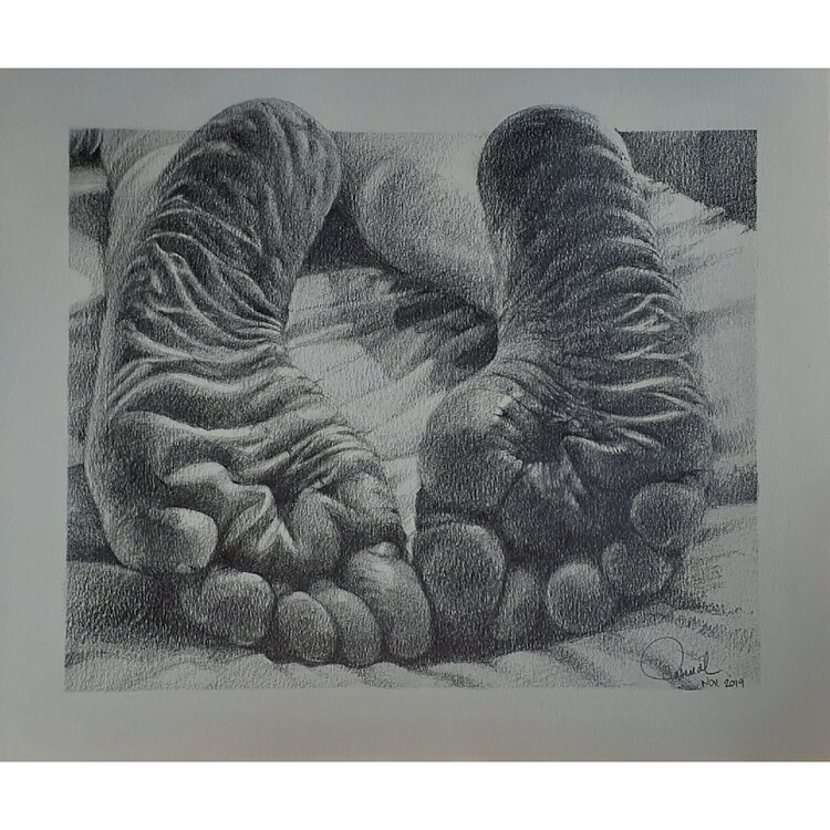PIES Carlos Pascual