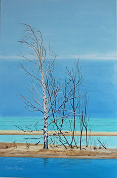 Morning Zen Sann René Glaza