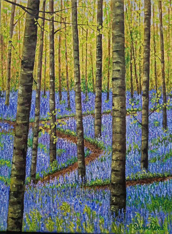 A Walk in the Woods Sann René Glaza