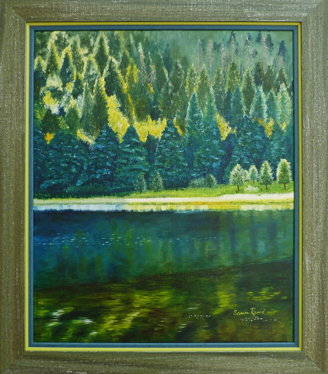 Veldsee Forest Reflections (Germany) Sann René Glaza