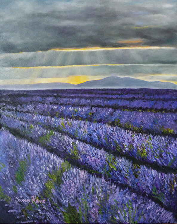 Sunset in the Provence Sann René Glaza