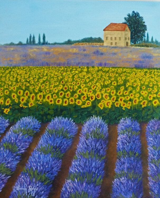 Flower Fields in the Provence Sann René Glaza