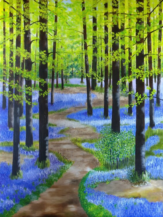 Bluebells along my path Sann René Glaza