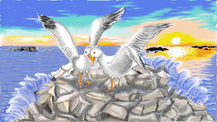 Seagulls in love Diana Saputi