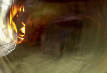 Singe d'Or virginie tournebise