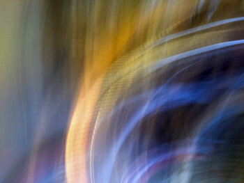 Phoenix virginie tournebise