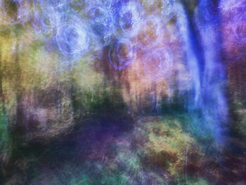 The Promise Romy Pfeifer