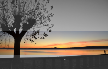 colorful details Mariapia Statile