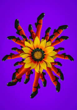 Flower power. 