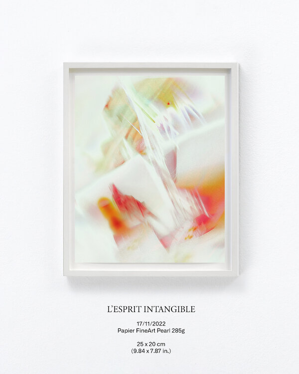 L'ESPRIT INTANGIBLE Victor Rouvre
