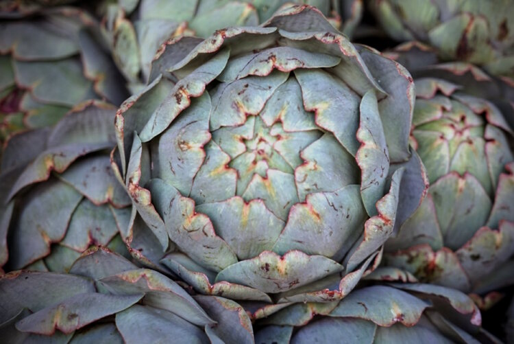 ARTICHAUT Philippe Yvon