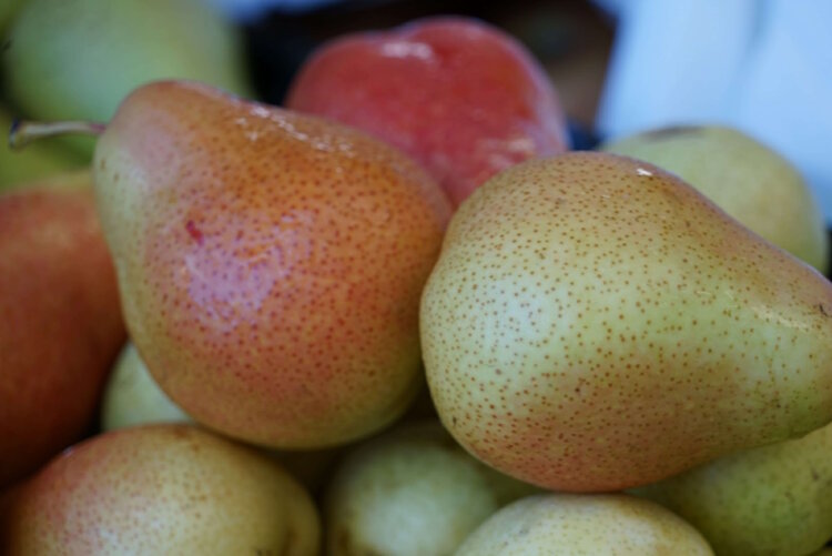 POIRES Philippe Yvon