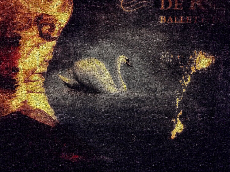 BLACK SWAN Philippe Yvon