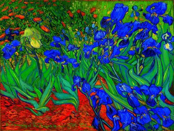 A Bird is looking at Vincent Van Goghs Irises Otto Frühwach