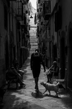 The Way Lorenzo Barbieri Hermitte