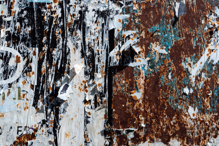 The News 消息 Lorenzo Barbieri Hermitte