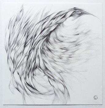 Colibri Emmanuelle Williot