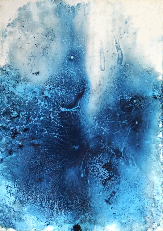 Transformation Emmanuelle Williot