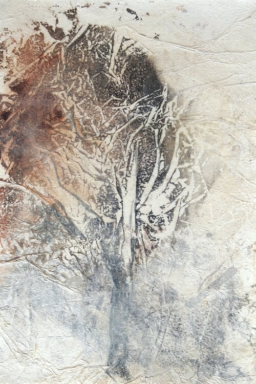 Arborescence Emmanuelle Williot