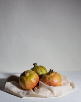 Composizione con Melograni raffaele clemente