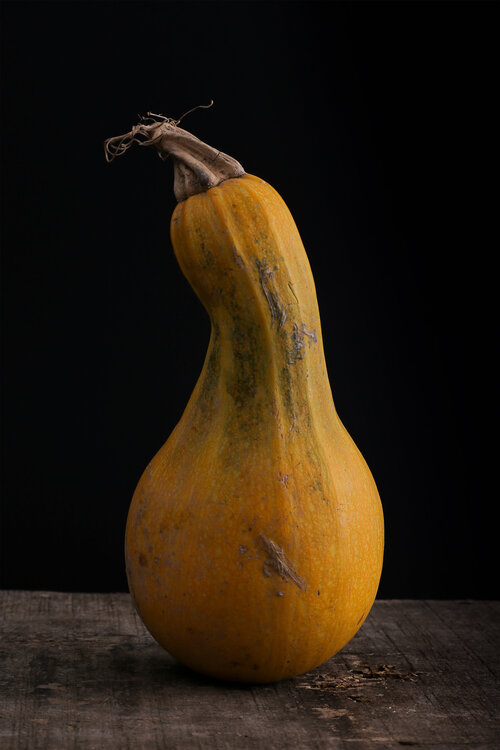 Zucchina Gialla raffaele clemente